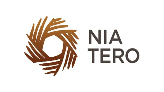 niaterologo1