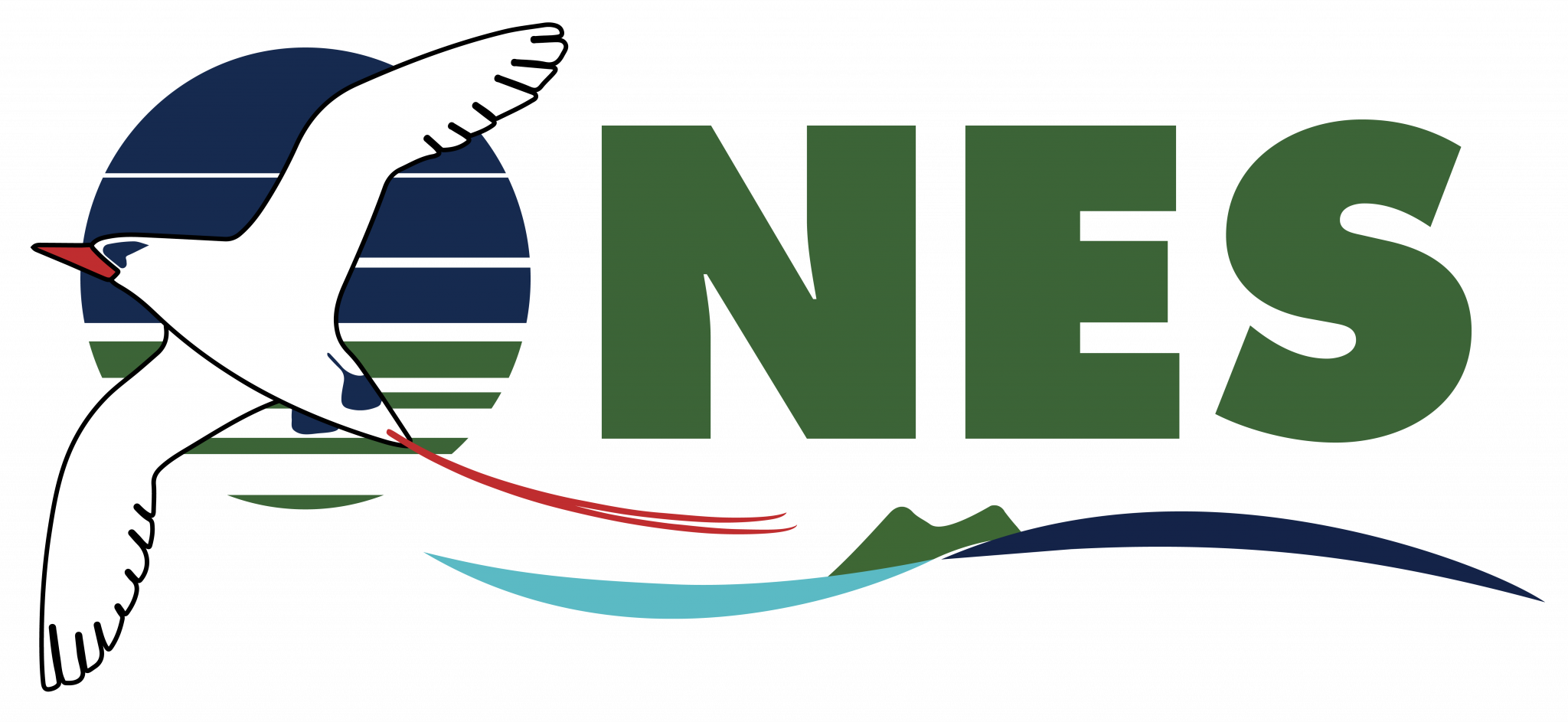 NES-Logo-Coloured-2048x943